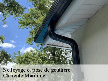Nettoyage et pose de gouttière