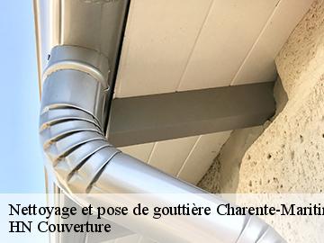 Nettoyage et pose de gouttière Charente-Maritime 