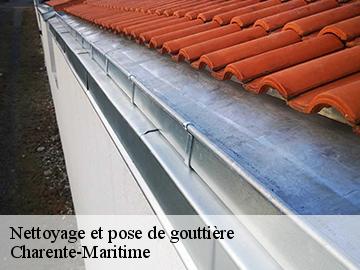 Nettoyage et pose de gouttière Charente-Maritime 