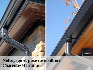 Nettoyage et pose de gouttière Charente-Maritime