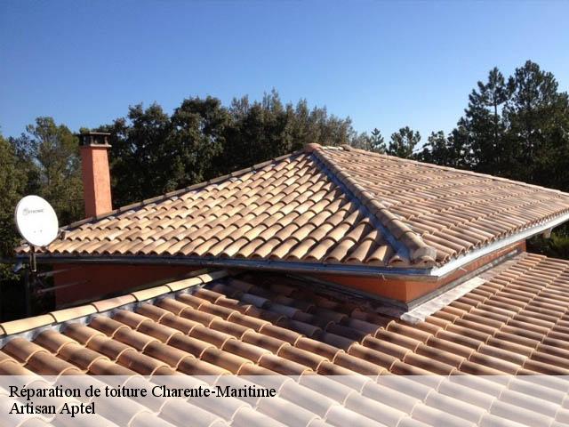 Réparation de toiture 17 Charente-Maritime  Artisan Aptel