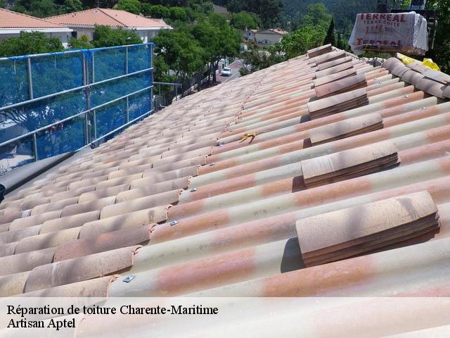 Réparation de toiture Charente-Maritime 