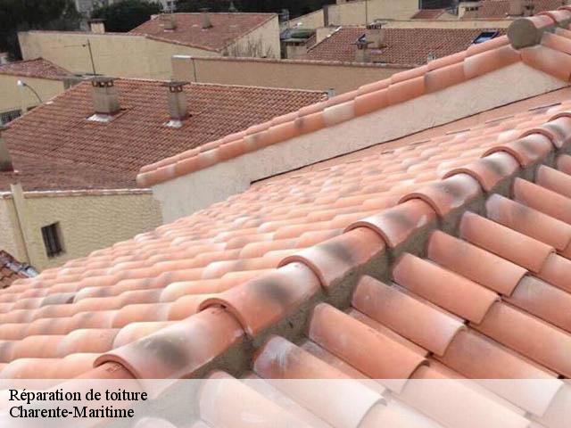 Réparation de toiture Charente-Maritime 