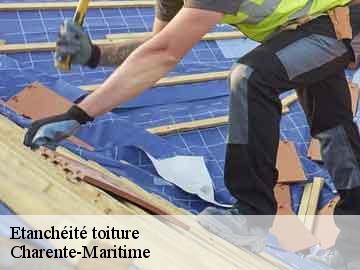 Etanchéité toiture