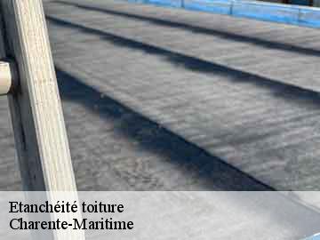 Etanchéité toiture Charente-Maritime 