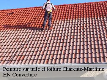 Peinture sur tuile et toiture 17 Charente-Maritime  Artisan Aptel