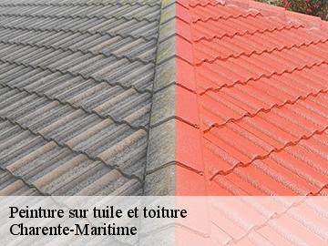 Peinture sur tuile et toiture