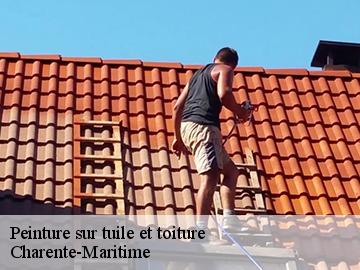 Peinture sur tuile et toiture Charente-Maritime