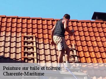 Peinture sur tuile et toiture Charente-Maritime 