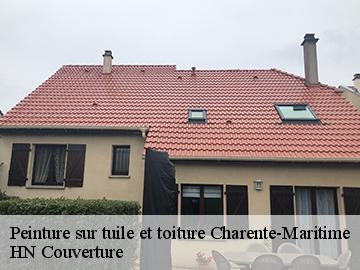 Peinture sur tuile et toiture Charente-Maritime 