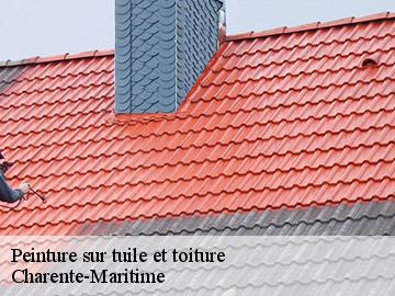 Peinture sur tuile et toiture Charente-Maritime 