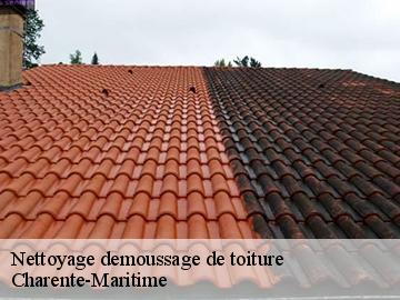 Nettoyage demoussage de toiture