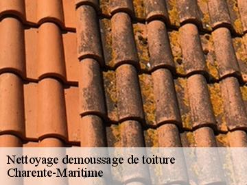 Nettoyage demoussage de toiture Charente-Maritime