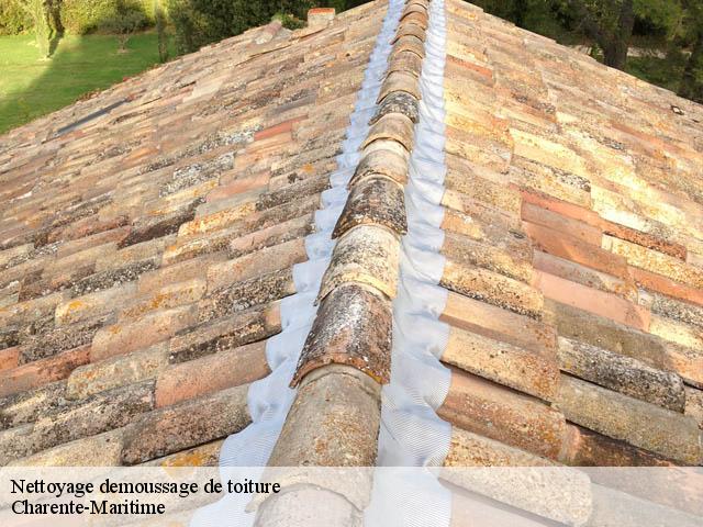 Nettoyage demoussage de toiture Charente-Maritime 