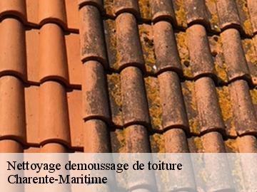 Nettoyage demoussage de toiture Charente-Maritime 