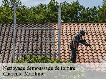 Nettoyage demoussage de toiture Charente-Maritime 