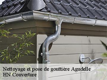 Nettoyage et pose de gouttière  agudelle-17500 Artisan Aptel