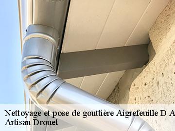 Nettoyage et pose de gouttière  17290