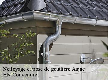 Nettoyage et pose de gouttière aujac-17770 HN Couverture
