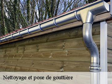 Nettoyage et pose de gouttière  17360