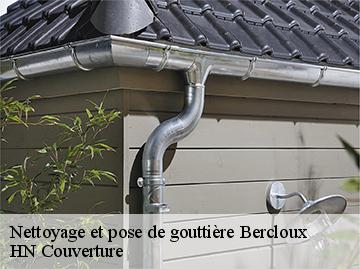 Nettoyage et pose de gouttière bercloux-17770 HN Couverture