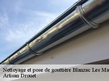 Nettoyage et pose de gouttière