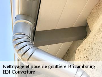 Nettoyage et pose de gouttière  17770