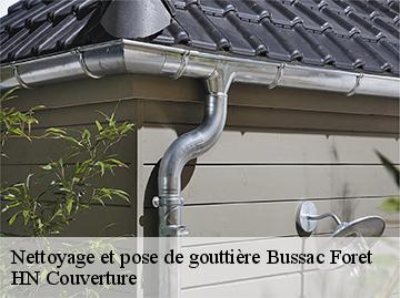 Nettoyage et pose de gouttière bussac-foret-17210 HN Couverture