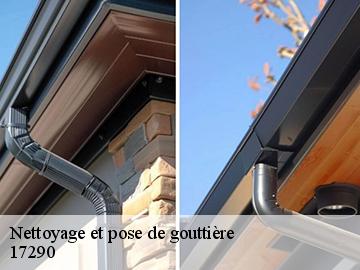 Nettoyage et pose de gouttière 17290