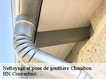 Nettoyage et pose de gouttière 17290