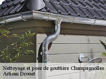 Nettoyage et pose de gouttière champagnolles-17240 Artisan Drouet