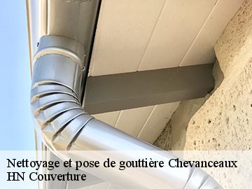 Nettoyage et pose de gouttière  17210