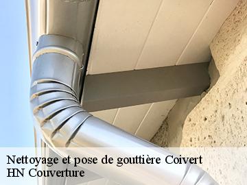 Nettoyage et pose de gouttière  17330