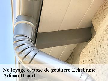 Nettoyage et pose de gouttière 17800