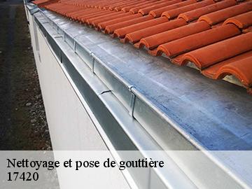 Nettoyage et pose de gouttière  17420