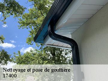 Nettoyage et pose de gouttière