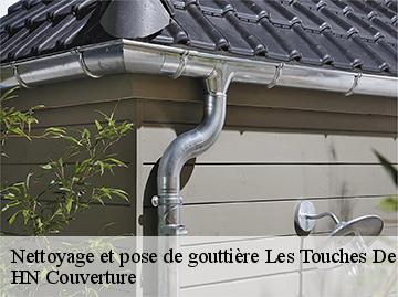 Nettoyage et pose de gouttière  les-touches-de-perigny-17160 Artisan Aptel