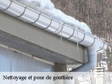 Nettoyage et pose de gouttière