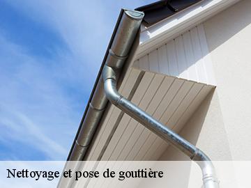 Nettoyage et pose de gouttière