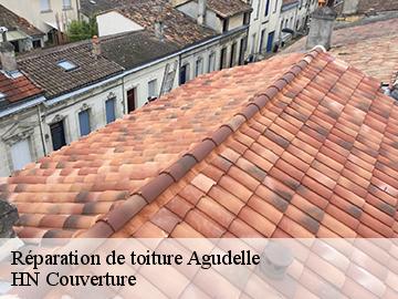 Réparation de toiture 17500