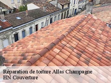 Réparation de toiture  17500