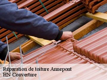 Réparation de toiture annepont-17350 HN Couverture