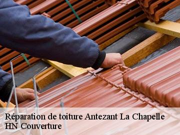 Réparation de toiture  antezant-la-chapelle-17400 Artisan Aptel