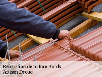 Réparation de toiture  bords-17430 Artisan Drouet