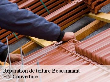 Réparation de toiture  boscamnant-17360 Artisan Aptel