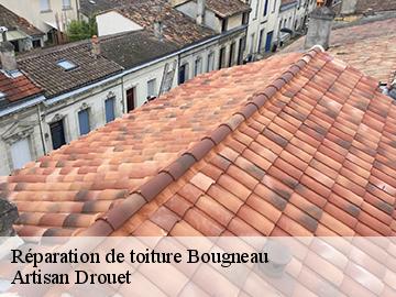 Réparation de toiture 17800