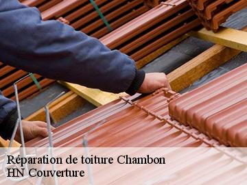 Réparation de toiture chambon-17290 HN Couverture
