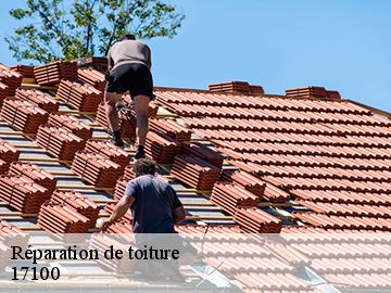 Réparation de toiture  17100