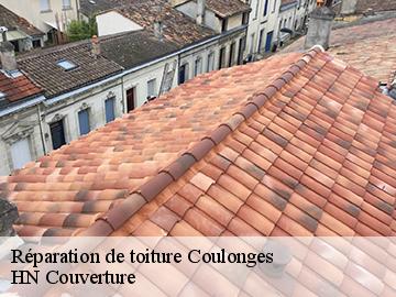 Réparation de toiture 17800