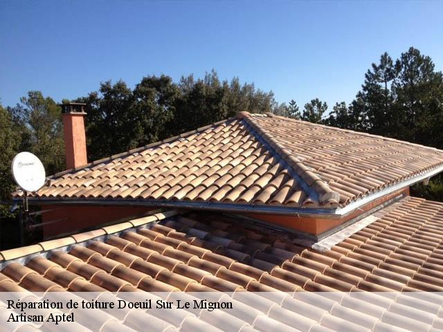 Réparation de toiture  doeuil-sur-le-mignon-17330 Artisan Aptel